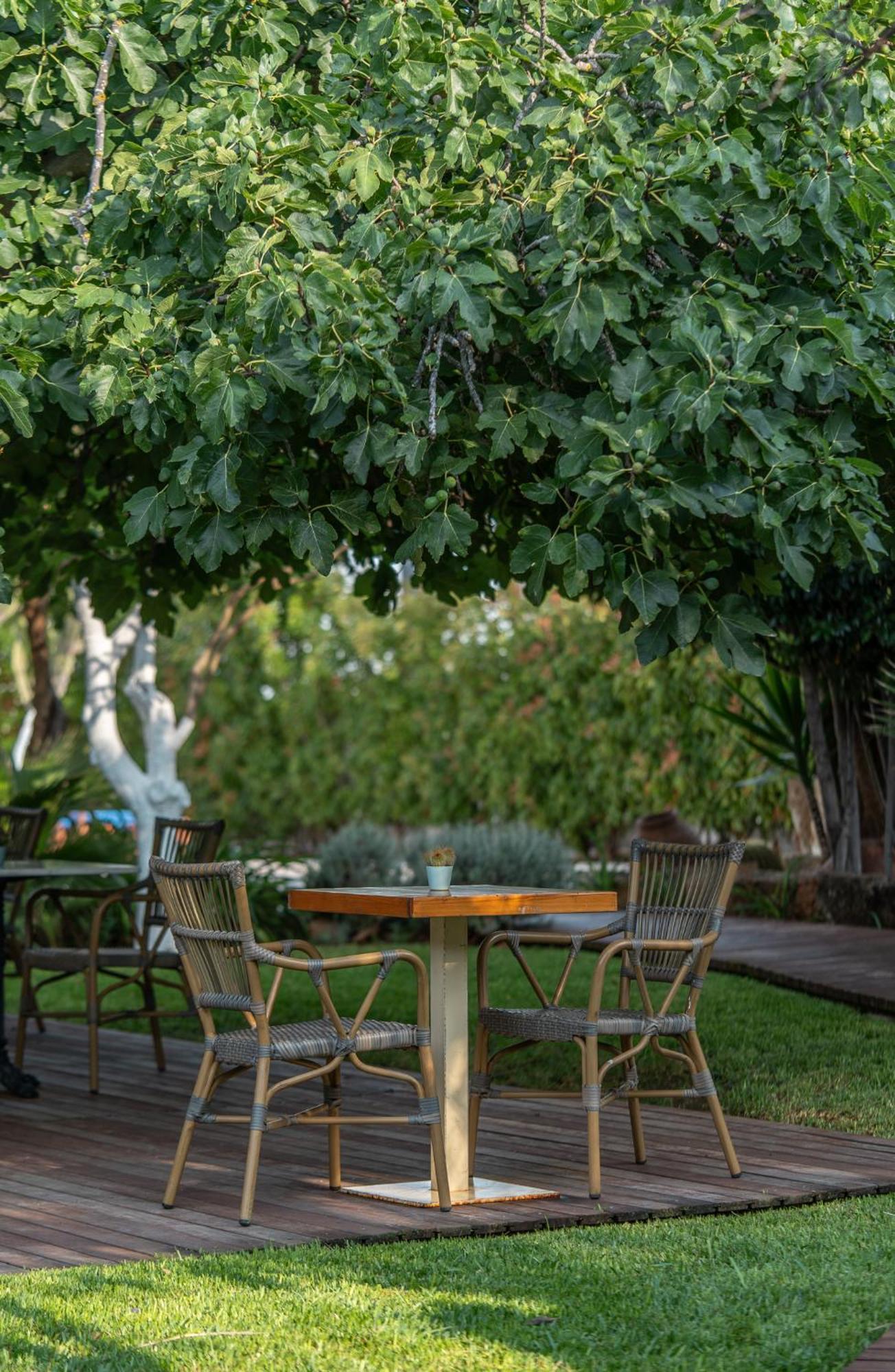 Boho Suites Denia (Adults Only) Экстерьер фото